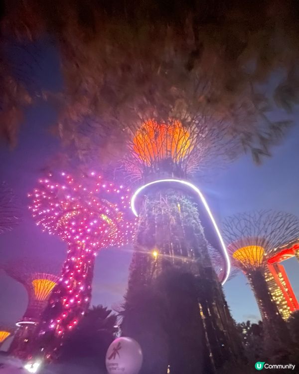 新加坡Gardens by the Bay 
