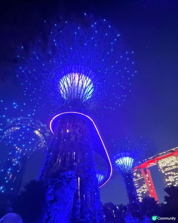 新加坡Gardens by the Bay 