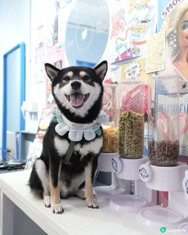 🍩打卡美式藍調冬甩店✨