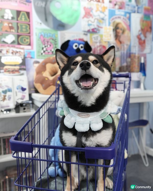 🍩美式藍調冬甩店✨