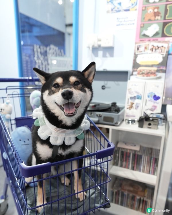 🍩美式藍調冬甩店✨