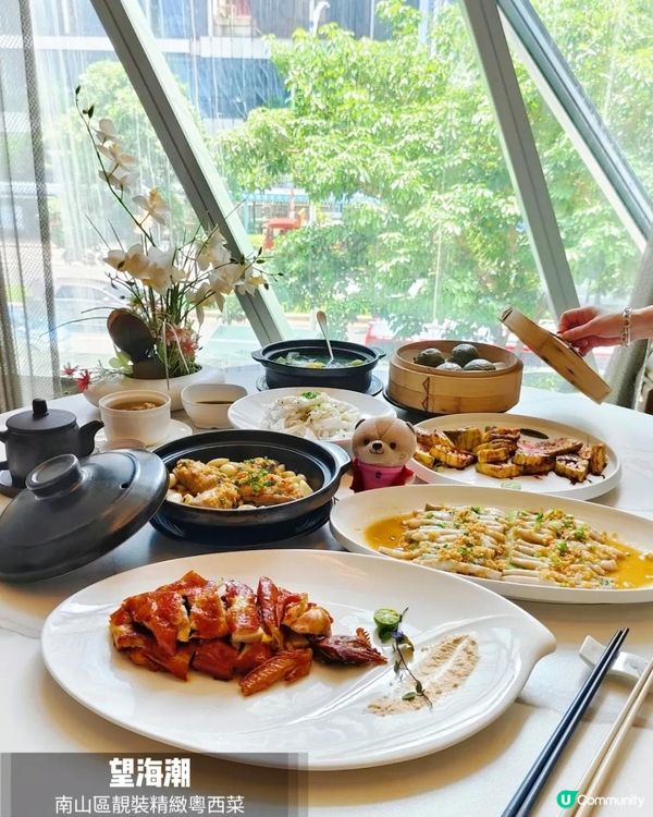 《深圳灣精緻粵菜》