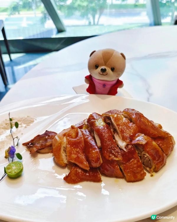 《深圳灣精緻粵菜》