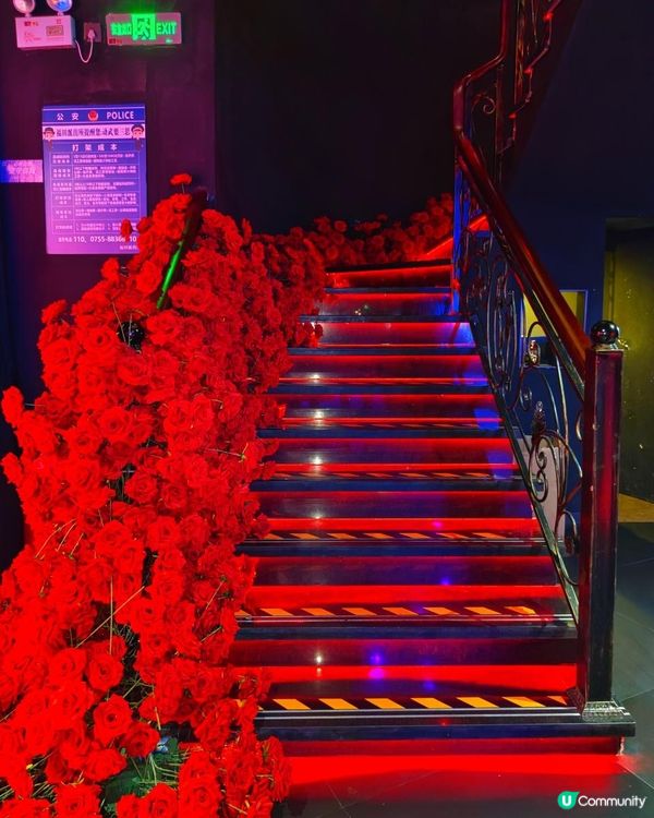 《港妹子也知道的打卡好去處》