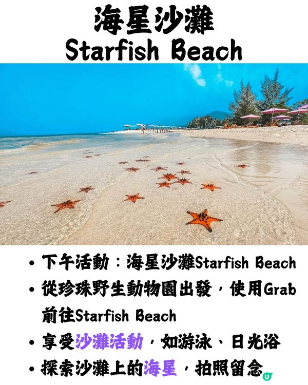 越南富國島5日4夜行程懶人包🏖️附最新航班資訊/門票價錢/交通✈️