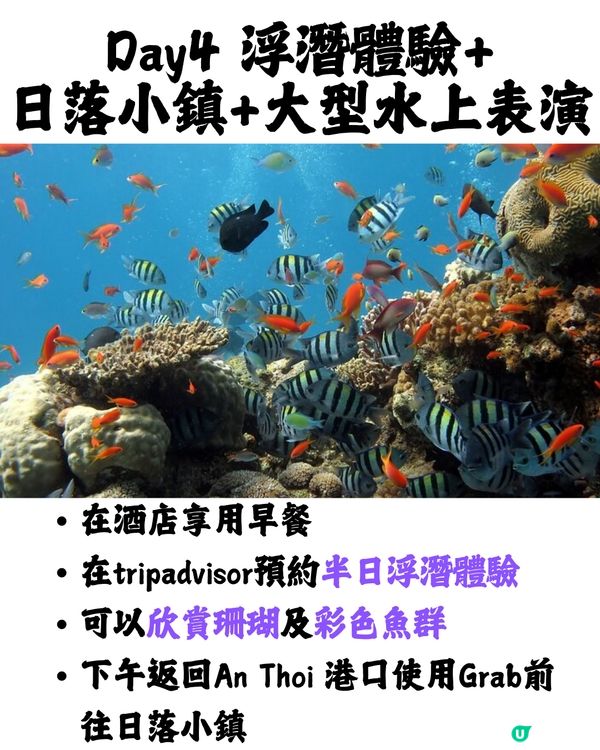 越南富國島5日4夜行程懶人包🏖️附最新航班資訊/門票價錢/交通✈️