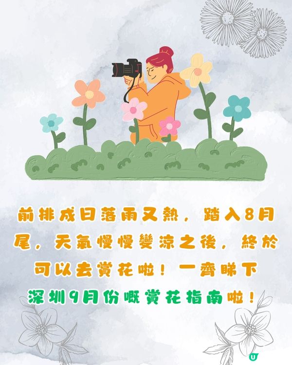 深圳9月賞花指南🌺夢幻花海 ! 如置身童話世界📸附地址+交通教學🚗