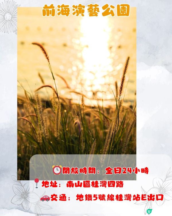 深圳9月賞花指南🌺夢幻花海 ! 如置身童話世界📸附地址+交通教學🚗