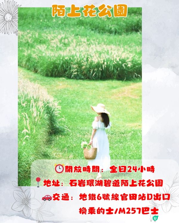 深圳9月賞花指南🌺夢幻花海 ! 如置身童話世界📸附地址+交通教學🚗