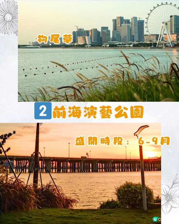 深圳9月賞花指南🌺夢幻花海 ! 如置身童話世界📸附地址+交通教學🚗