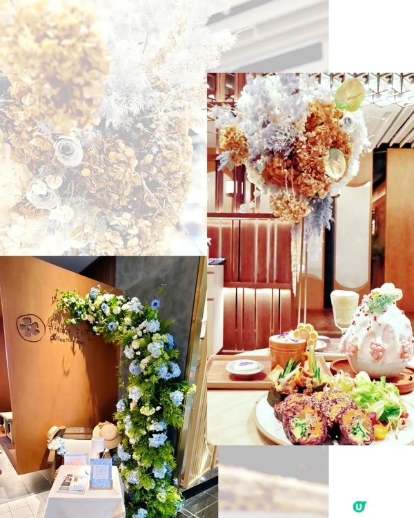 圓方🍨人氣韓國Café 🌸Coffee Hwajeon