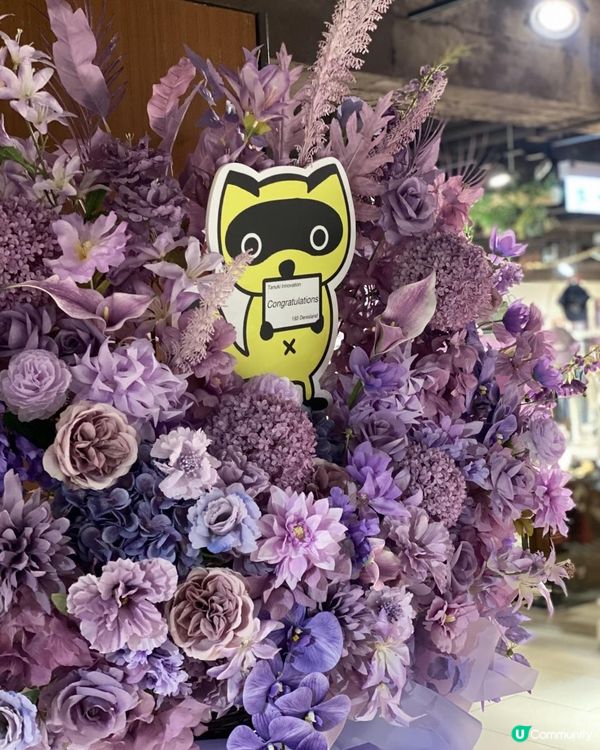 🐱chill爆海景狸貓cafe