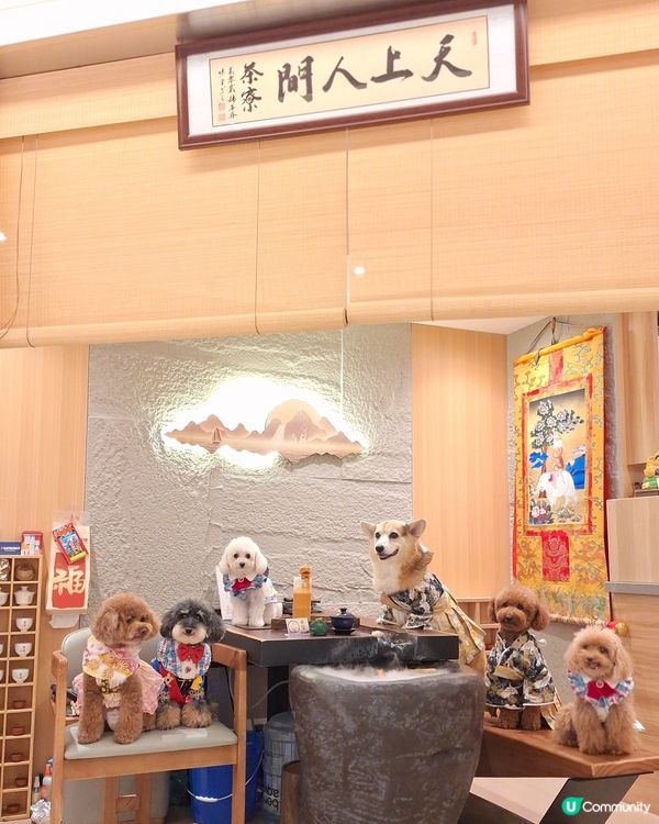 茶香撲鼻任君嘗