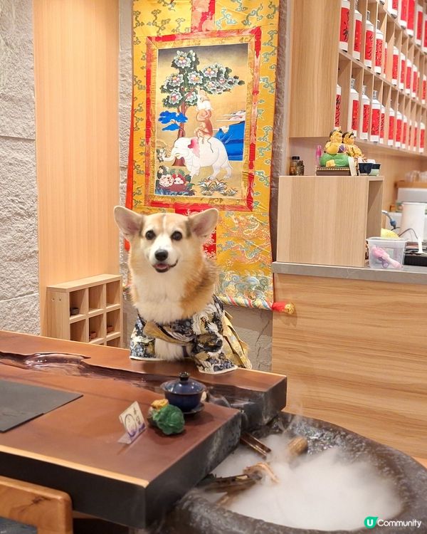 茶香撲鼻任君嘗