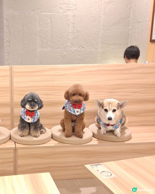 茶香撲鼻任君嘗