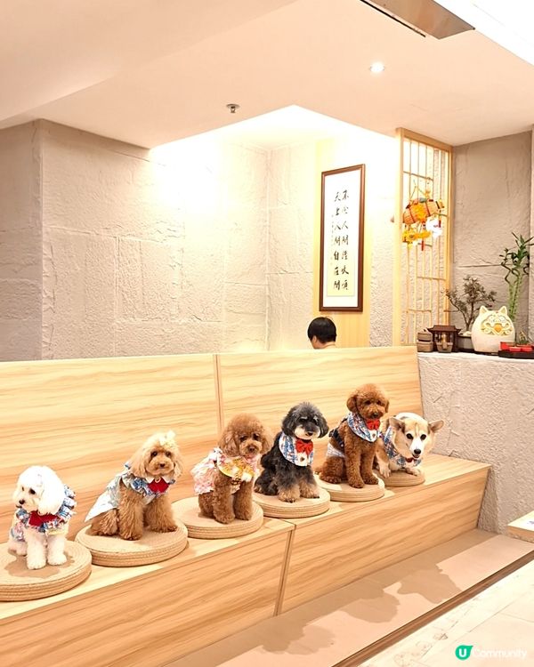 茶香撲鼻任君嘗