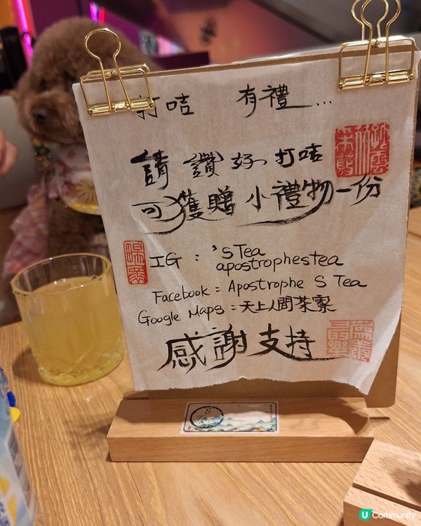 茶香撲鼻任君嘗