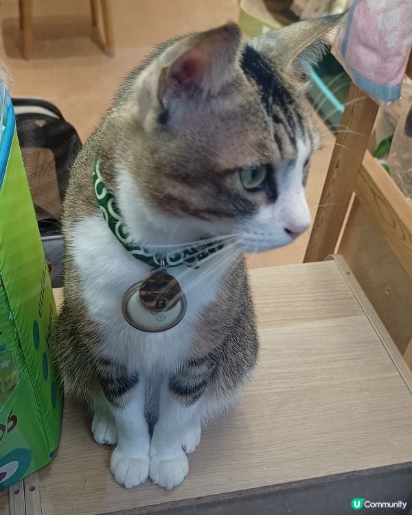眼仔碌碌👀