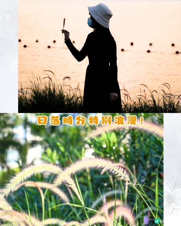 深圳9月賞花指南🌺夢幻花海 ! 如置身童話世界📸附地址+交通教學🚗