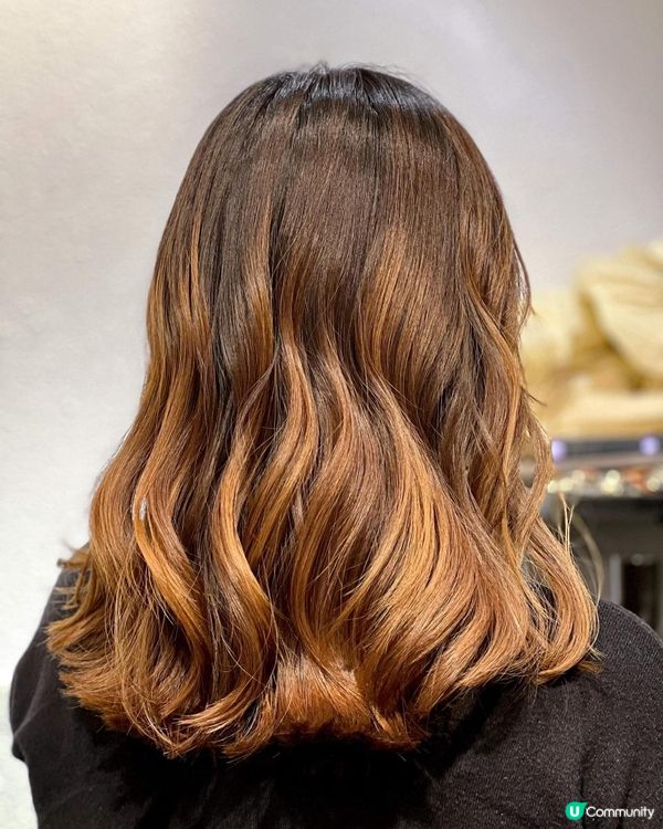 《最平$360專業髮型師剪髮+優質服務💇🏻‍♀️》