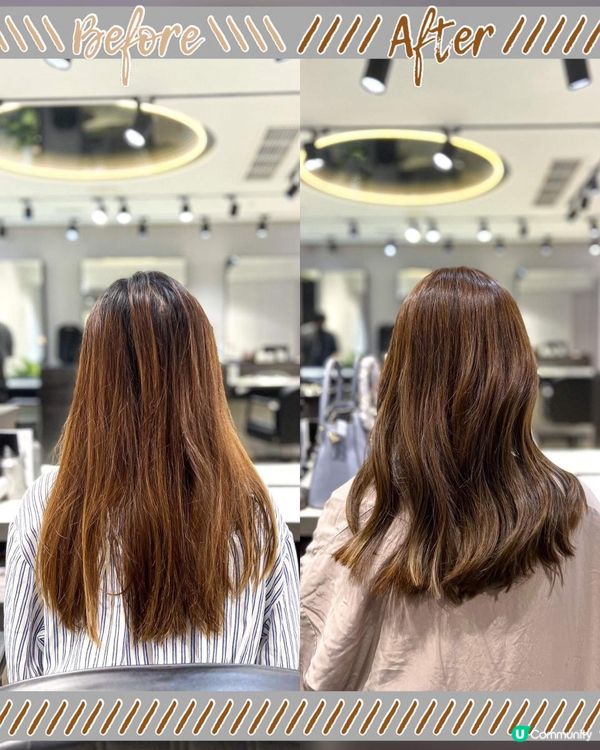 《最平$360專業髮型師剪髮+優質服務💇🏻‍♀️》