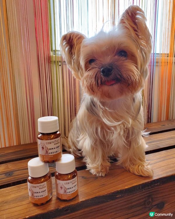 🐾位您寵皮膚及毛髮配方