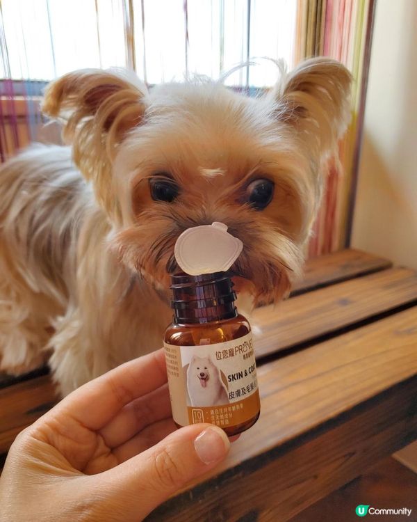 🐾位您寵皮膚及毛髮配方