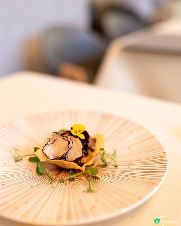 前酒店大廚主理 觀塘親民fine dining