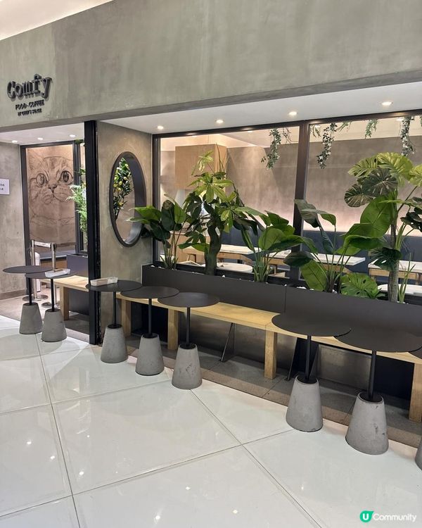 簡約風格抵吃下午茶