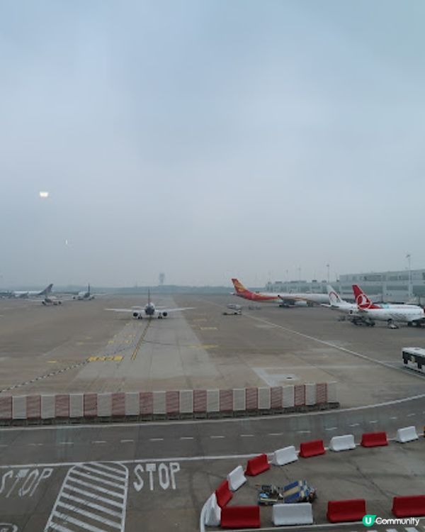 西歐四國遊 Day8 (比利時原來有兩種窩夫?布魯塞爾機場,國泰商務艙)