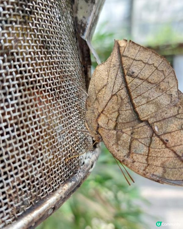 【暟。玩。樂】#49 八日台北之旅 Day 5【外遊篇】