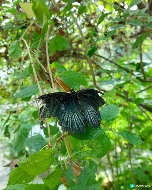 【暟。玩。樂】#49 八日台北之旅 Day 5【外遊篇】