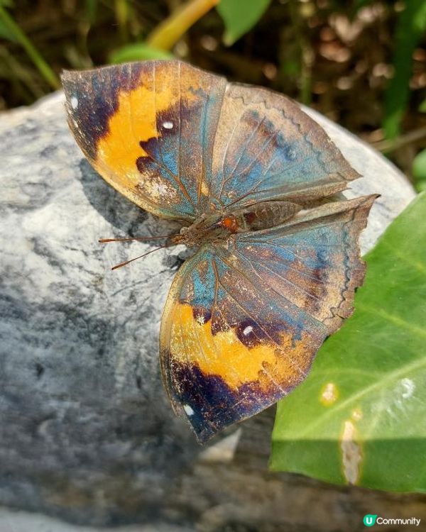 【暟。玩。樂】#49 八日台北之旅 Day 5【外遊篇】