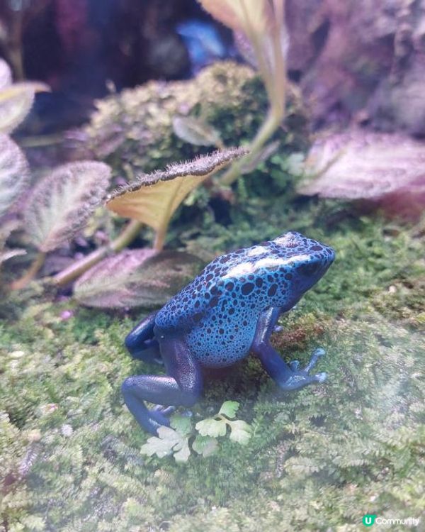 【暟。玩。樂】#49 八日台北之旅 Day 5【外遊篇】