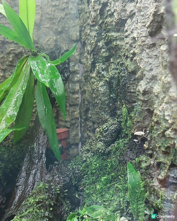 【暟。玩。樂】#49 八日台北之旅 Day 5【外遊篇】