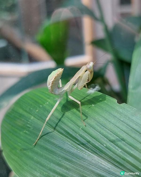 【暟。玩。樂】#49 八日台北之旅 Day 5【外遊篇】