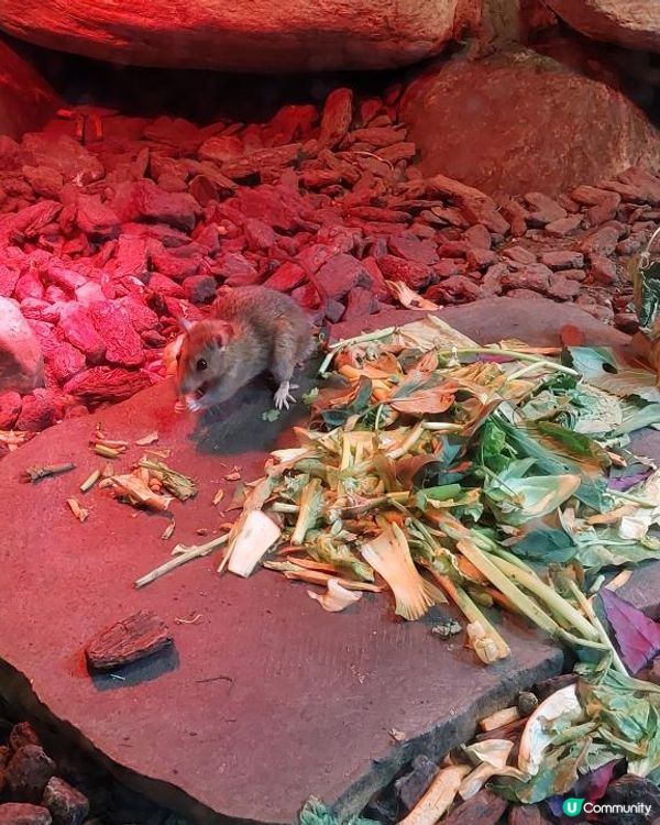 【暟。玩。樂】#49 八日台北之旅 Day 5【外遊篇】