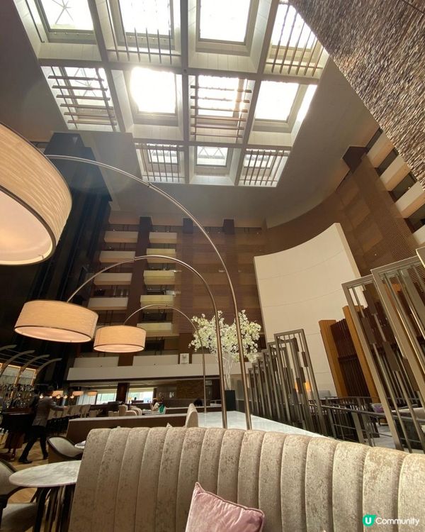 東京品川詩穎洲際酒店🏨The Scone Dining