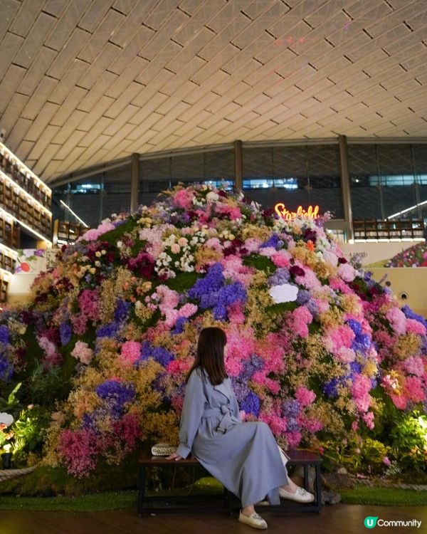 【首爾】星空圖書館．首爾最美圖書館｜文迪．漫遊．慢生活