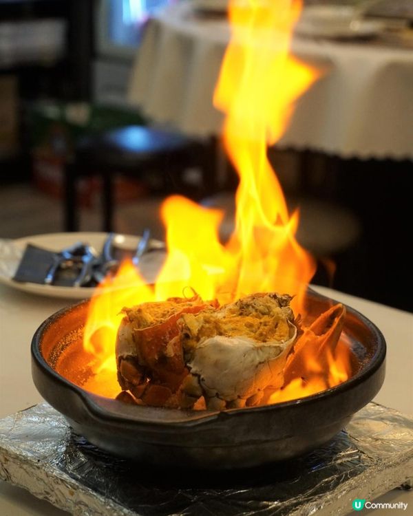 旺角【明廚】惹味煲仔菜 回頭率高!