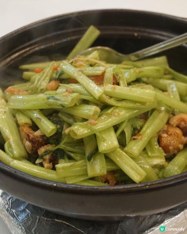 旺角【明廚】惹味煲仔菜 回頭率高!