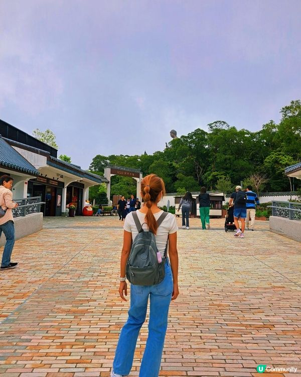 新手。遊車河[3] - 揸車去~南大嶼山