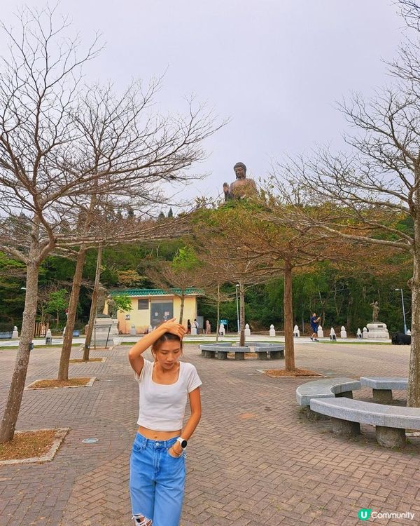 新手。遊車河[3] - 揸車去~南大嶼山