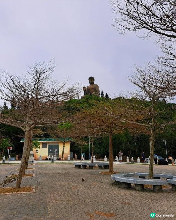 新手。遊車河[3] - 揸車去~南大嶼山