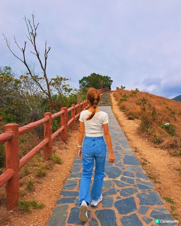 新手。遊車河[3] - 揸車去~南大嶼山