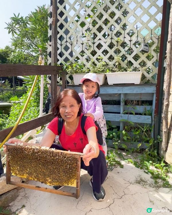 第一次黎到小蜜蜂之家🐝近距離接觸佢地！🐝