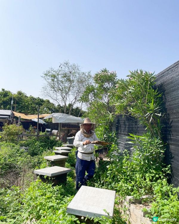 第一次黎到小蜜蜂之家🐝近距離接觸佢地！🐝