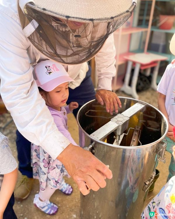 第一次黎到小蜜蜂之家🐝近距離接觸佢地！🐝