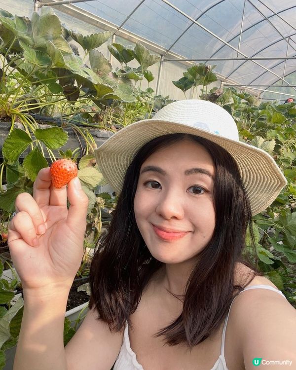 第一次黎到小蜜蜂之家🐝近距離接觸佢地！🐝