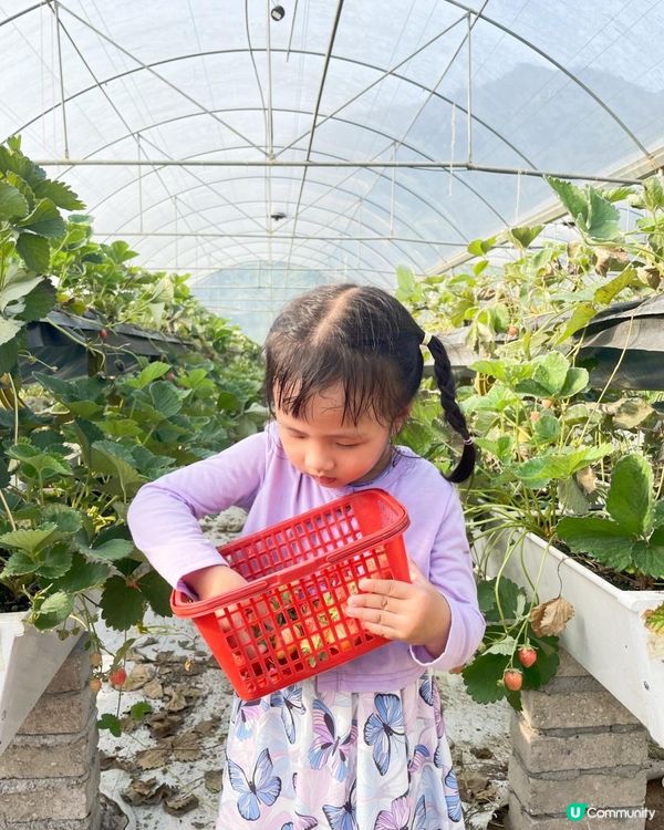 第一次黎到小蜜蜂之家🐝近距離接觸佢地！🐝